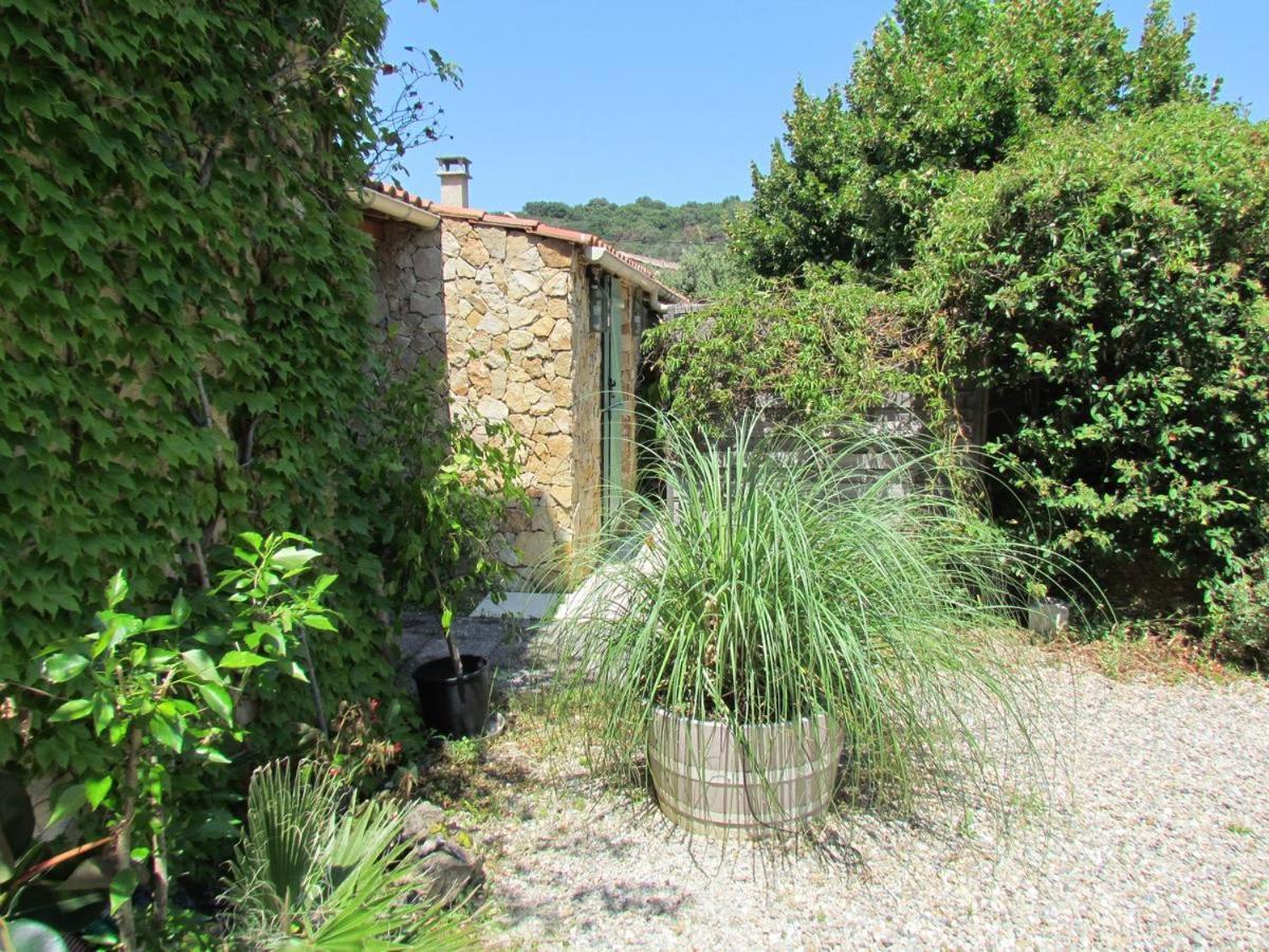 Chambre D'Hotes Des Oliviers La Roque-sur-Cèze Esterno foto